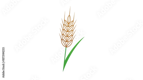 Golden wheat ear with green leaf on white background