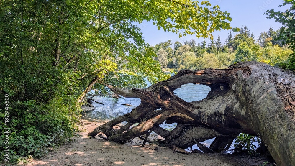 Fototapeta premium an der Aare