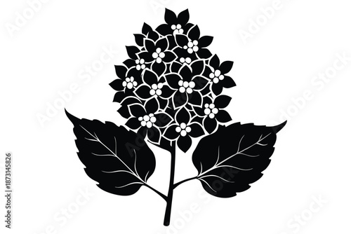 Lilac Flower Cluster Silhouette, Black and White Garden Floral Vector Element
