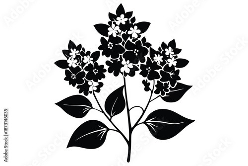 Black and White Lilac Flower Branch Silhouette Vector Isolated on White Background