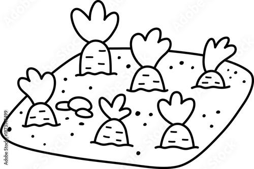 Nursery or seed bed line icon with carrots. Vector garden, farm or Easter village sprouted plants isolated on white background. Black and white spring vegetable illustration, coloring page