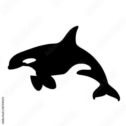 Majestic orca swimming in ocean waters with fin