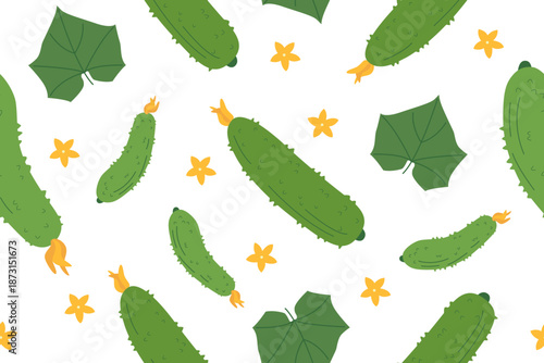 Cucumber vegetable seamless pattern. Nature background of cucumber isolated on white. Gardening, farming and food concept. Vector flat banner.