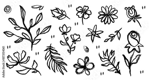 Flowers outline texture doodle. Ink abstract plant shapes. Nature leaves grunge silhouette. Hand drawn ink graphic design elements. Sketch texture brush.