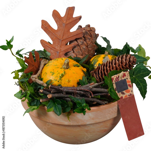 A fresh cactus in a flowerpot sits beside a seasonal harvest basket