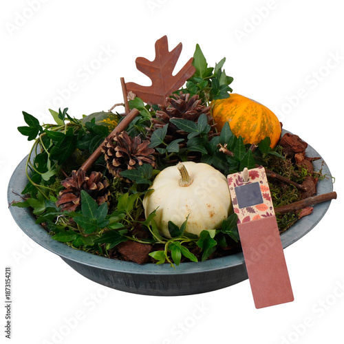 A fresh cactus in a flowerpot sits beside a seasonal harvest basket
