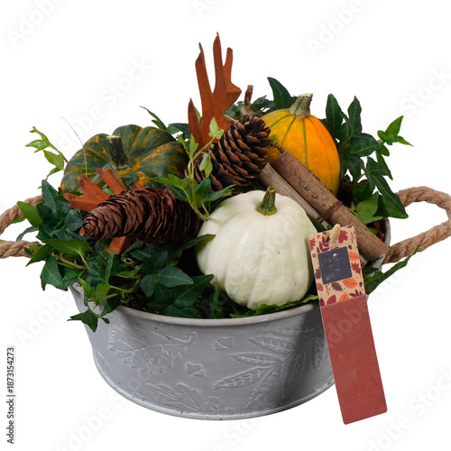 A fresh cactus in a flowerpot sits beside a seasonal harvest basket