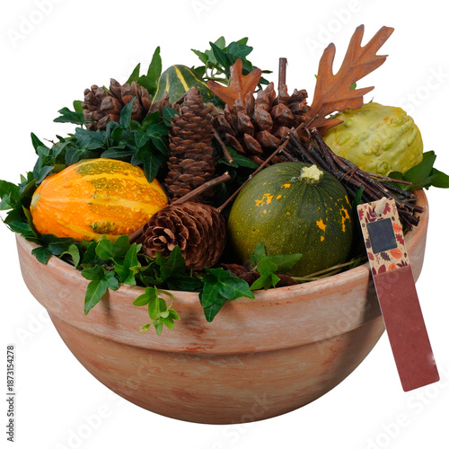 A fresh cactus in a flowerpot sits beside a seasonal harvest basket