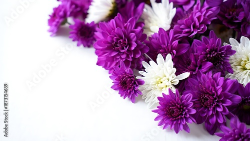 Vibrant Purple and White Flowers Bouquet on White Background