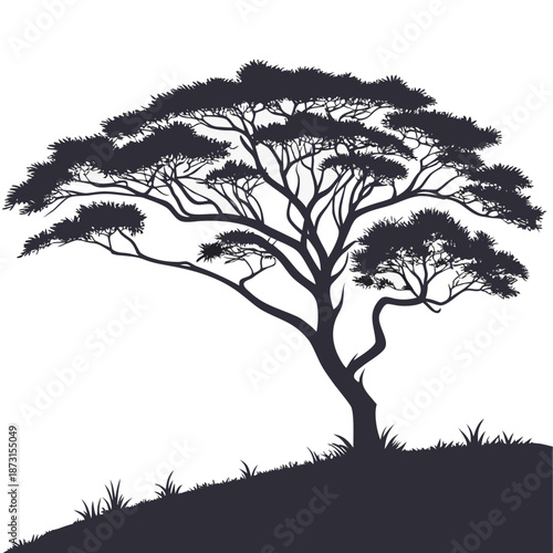 Silhouette of a majestic tree