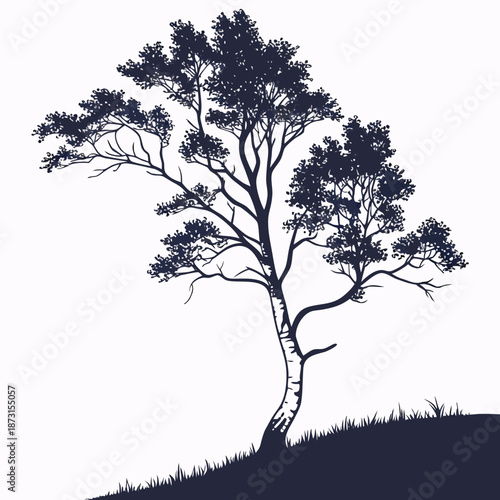 Lone tree on hillside