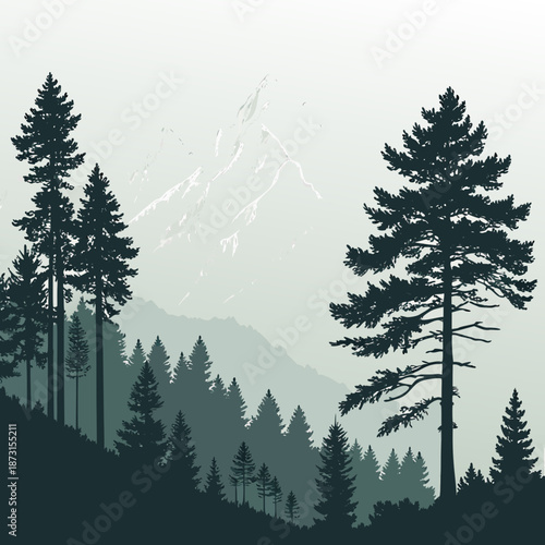 Serene forest landscape with mountain peak