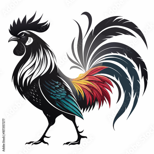 Rooster chicken farm