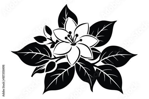 Jasmine blossom silhouette, stark black and white on a pure white background.