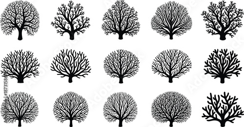 Coral Reef Silhouette Vector Set, Marine Life Sea Fan Icon Collection, Underwater Ocean Nature Graphics, Aquatic Biological Plant Shapes,