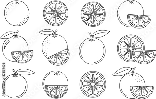 Orange Fruit Outline Vector Set, Citrus Slice Line Art Collection, Fresh Tangerine Graphics, Healthy Vitamin Food Symbols, Tropical Organic Branding,