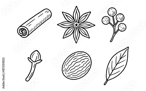 Hand-drawn collection of common spices and herbs for cooking and baking