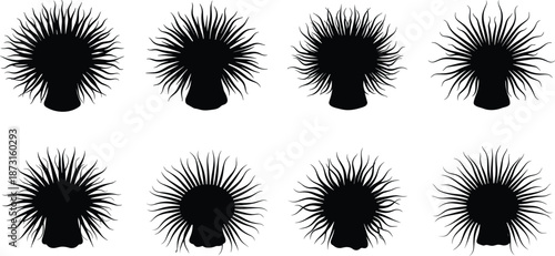 Sea Anemone Silhouette Vector Set, Marine Life Icon Collection, Underwater Ocean Plant Graphics, Aquatic Nature Illustrations, Coral Reef Biological Shapes