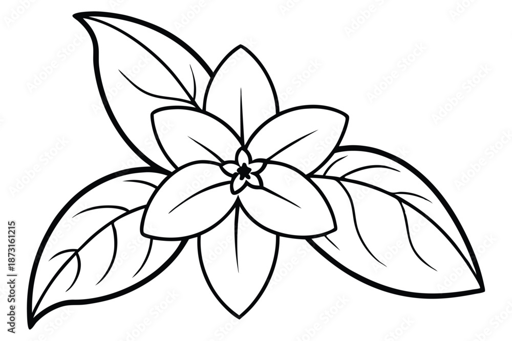 Obraz premium Jasmine Bud Line Art, Simple Black and White Vector Illustration