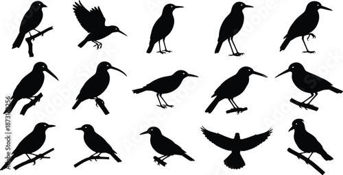 Bird Silhouette Vector Set, Flying Avian Icon Collection, Wild Songbird Raven Graphics, Nature Animal Shapes, Black Feather Illustrations for Design,