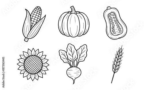 Collection of hand-drawn autumn harvest vegetables and grains in black and white