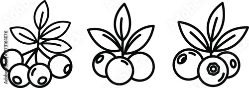 Simple line drawings of fruit and leaves in various stages of completion on a white background