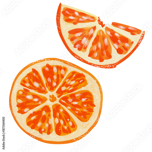 Isolated Gouache Orange Slices and Citrus Fruit Segments, Hand-painted Tangerine, Clementine, Mandarin, Satsuma for Graphic Design, Recipe Book, Organic Product Labeling. Transparent Background