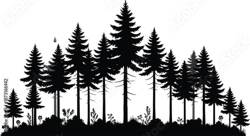 Evergreen forest silhouette vector illustration with tall pine trees and woodland landscape nature background isolated on white for design