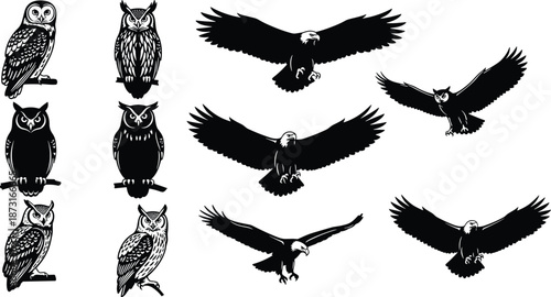 Owl and eagle silhouette set vector, flying and perched birds in black and white style isolated on white background for logo and design