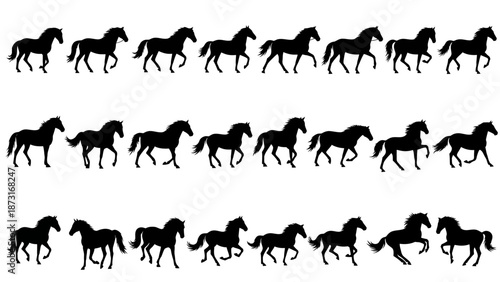 Horse Gait Silhouette Vector Sequence – Walking, Trotting, Galloping Motion Frames for Animation, Biomechanics, Equine Study, Art Reference, and Graphic Design Projects