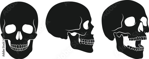 Human Skull Silhouette Vector Set Minimal Black Anatomy Design