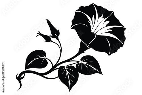 Elegant Morning Glory Flower Silhouette, Minimalist Black and White Botanical Vector Illustration for Floral Design Projects