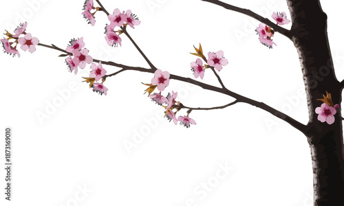 Beautiful pink cherry blossoms on a tree branch vector illustration