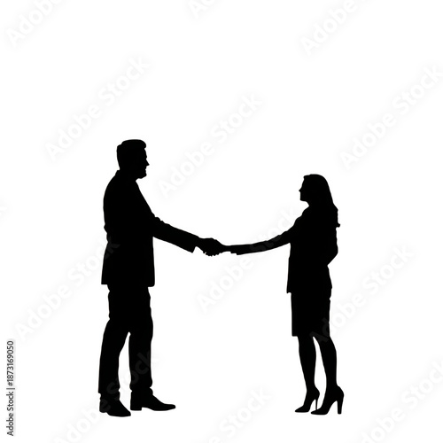 two business people shaking hands