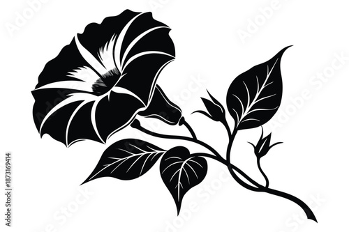 Artistic Morning Glory Blossom Silhouette, Monochrome Botanical Sketch for Minimalist Branding and Logo Design