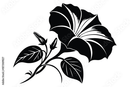 Classic Morning Glory Botanical Illustration Silhouette, Black Monochrome Floral Shape for Invitation Cards