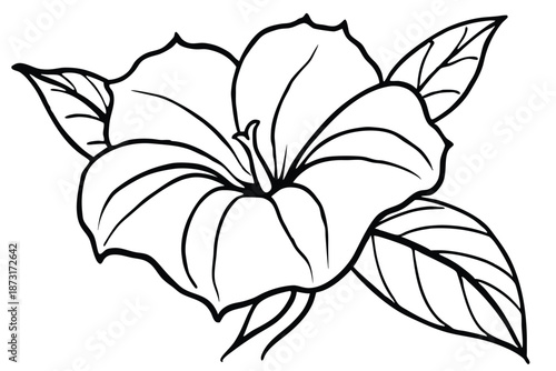 Creative Morning Glory Vine Illustration, Black and White Line Art Vector for Wall Art and Floral Backgrounds