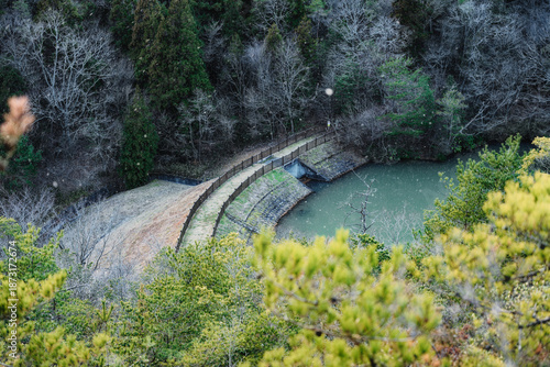 雪が降る自然公園の景色