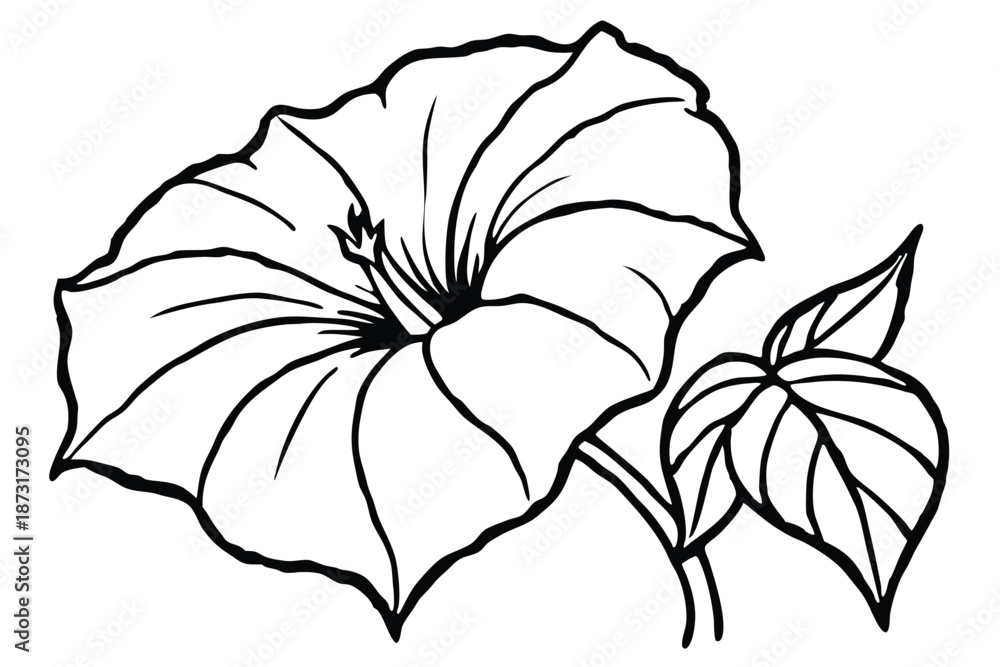 Fototapeta premium Simple Morning Glory Leaf and Stem Line Art, Minimalist Black and White Botanical Vector for Icon or Logo