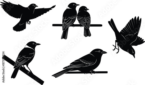 Black bird silhouettes vector set with crows and sparrows sitting on branches and flying in sky, isolated on white background