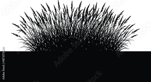 Black silhouette of meadow grass bush, wild field plants, cereal stalks, and herbal greenery isolated on white background, nature vector.