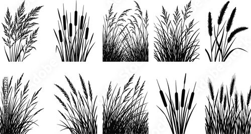 Black botanical silhouettes, meadow grass borders, wild wheat stalks, fern leaves, cattail reeds, floral elements set, nature landscape dividers, isolated vector.