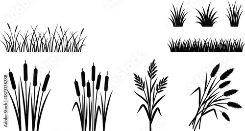 Black grass silhouettes, marsh reeds, cattails, meadow plants, floral elements, botanical set, nature icons, wetland vegetation, wheat stalks, isolated vector design.