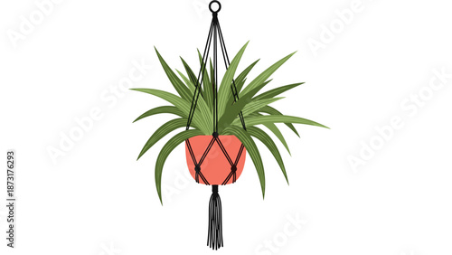 Beautiful green houseplant with long pointed leaves growing in an orange pot suspended by a decorative black macrame hanger.