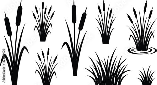 Black silhouette and outline grass collection, cattail reed marsh plant vector elements, swamp meadow botanical sketches isolated on white background.