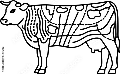 Cow butcher diagram with meat cut outlines for butchery guide and livestock anatomy