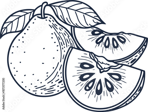 soursop fruit with leaves and sliced pieces, tropical exotic plant illustration