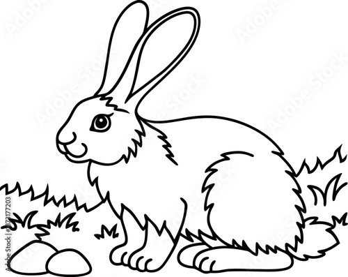 Rabbit sitting on grass near stones cute wild animal with long ears and fluffy tail