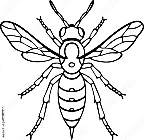 Detailed black and white line drawing of a wasp with visible wings and segmented body