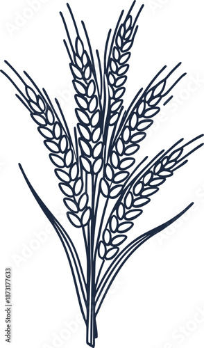 wheat ears bundle illustration with detailed grain and stalk design